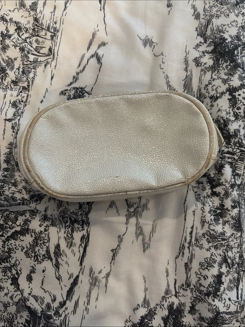 Dior Taupe Pebbled Leather Cosmetic Case